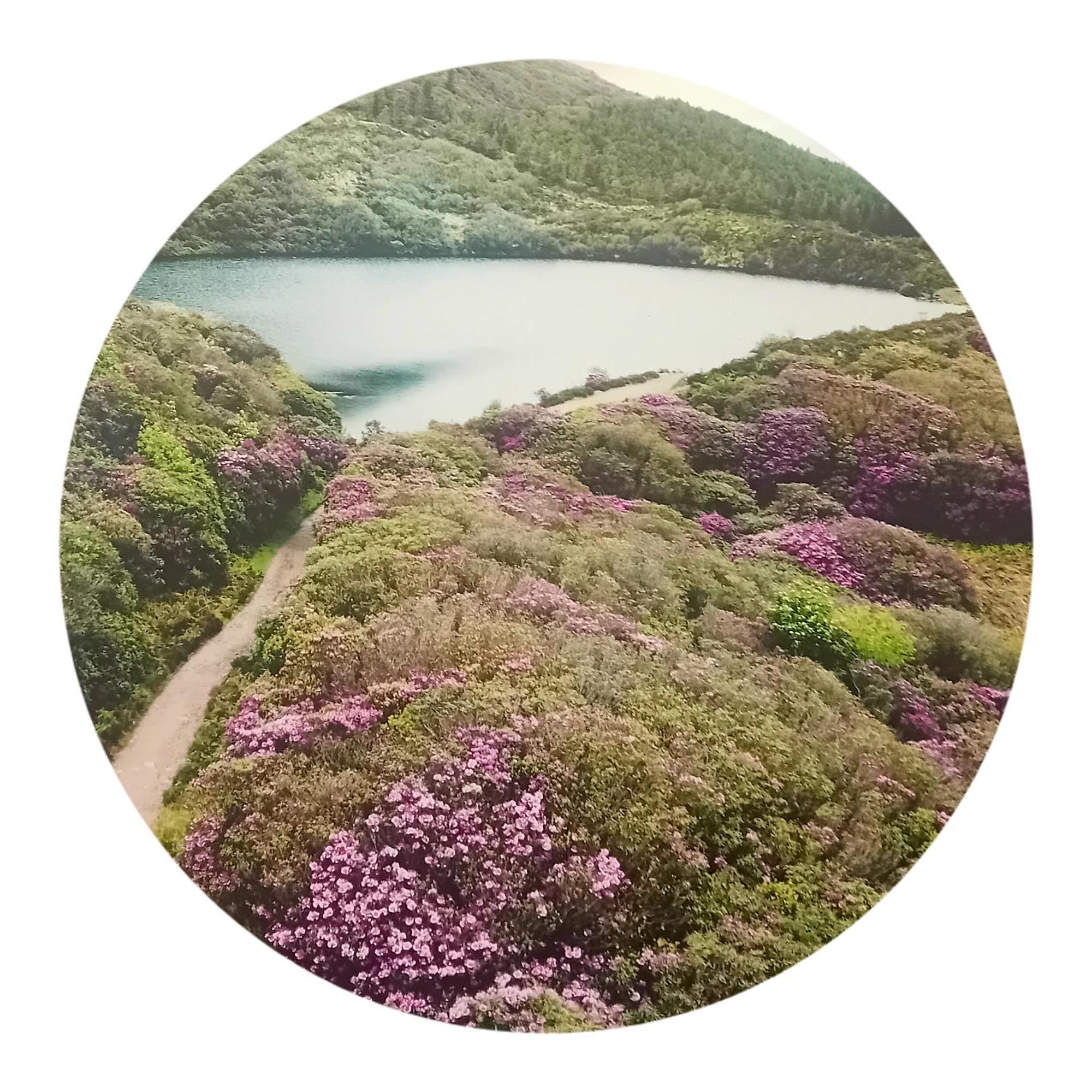 كاهير Annaswood B&B المظهر الخارجي الصورة